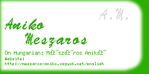 aniko meszaros business card